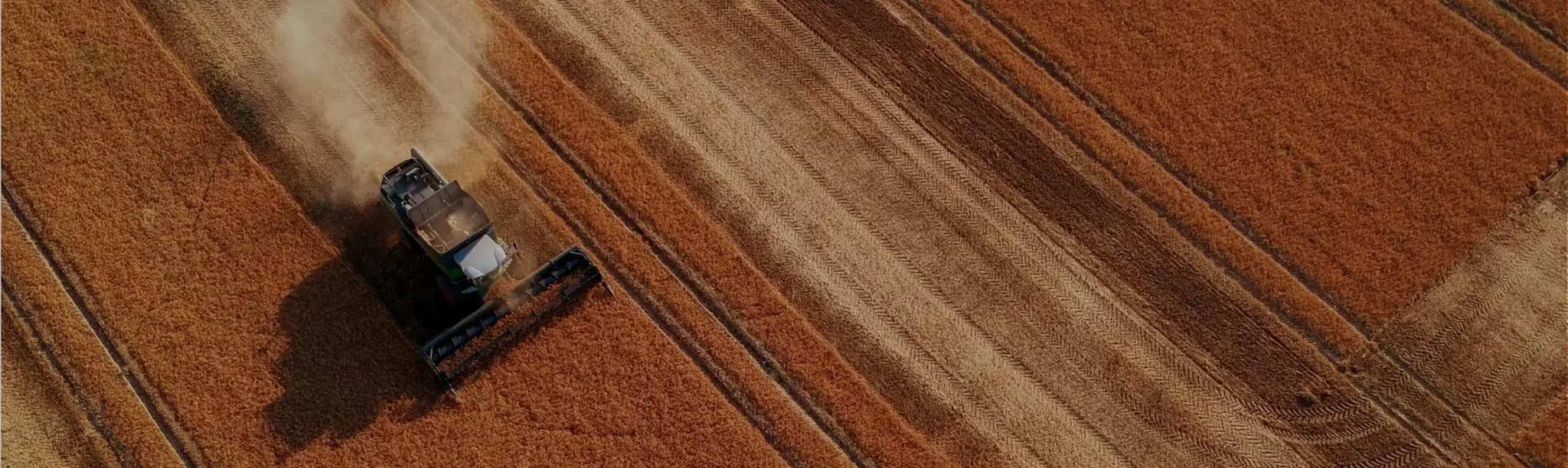 A harvester in a field
