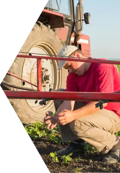 man testing farm soil